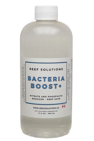 Reef Solutions Bacteria Boost